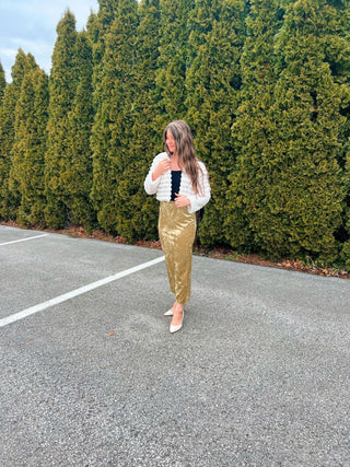 Botanical - Maxi Velvet Skirt - Silver Line Boutique