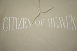 (Glitter) Citizen of Heaven, Hoodie - Silver Line Boutique