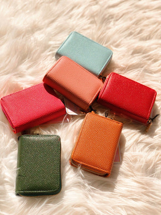 Mini Wallet - Silver Line Boutique