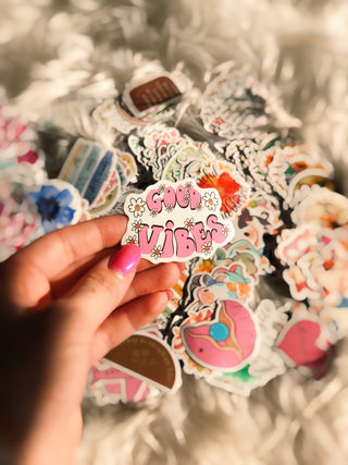 Mystery Pack of 10 Stickers - Silver Line Boutique